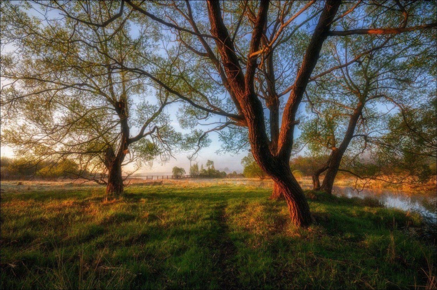 Подмосковье, Рыбалка, Туман, Утро, Иван Мухин