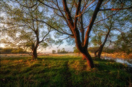 Утро перед рыбалкой