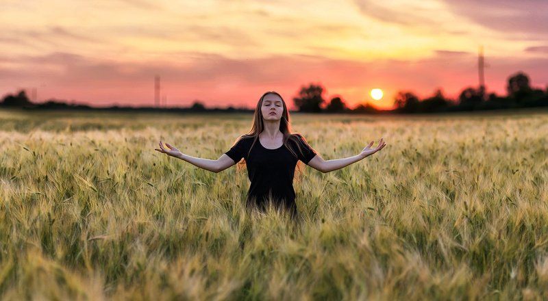 Девушка, Закат, Колоски, Медитация, Поле  фото превью