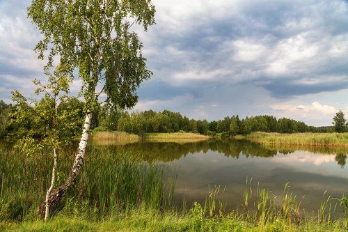 Кажется дождь собирается...
