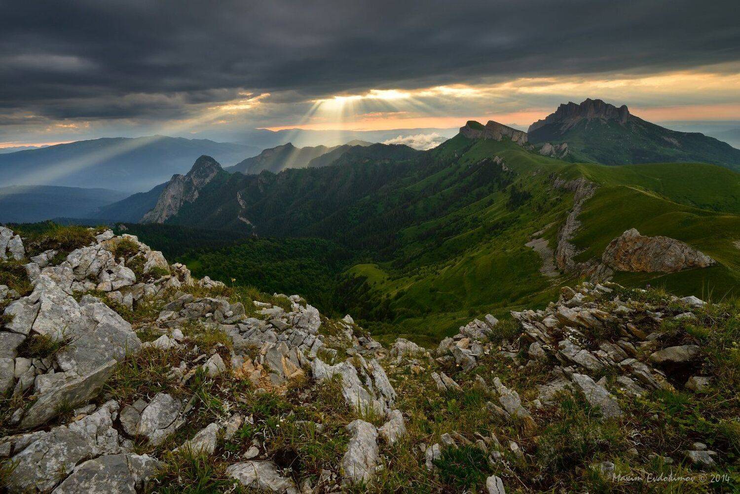 , Максим Евдокимов