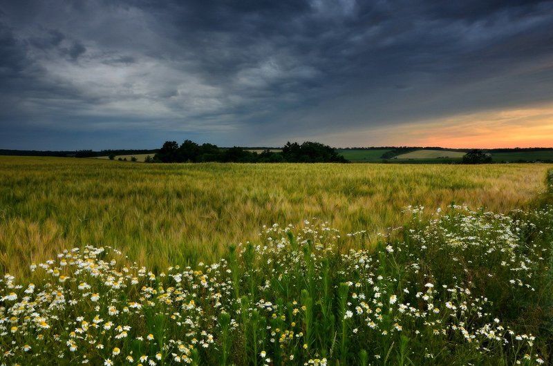 Сельские вечера фото превью