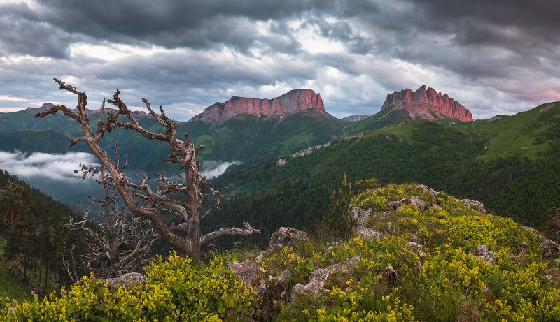 Тюх, тюх, тюх раскраснелся наш утюг. фото превью