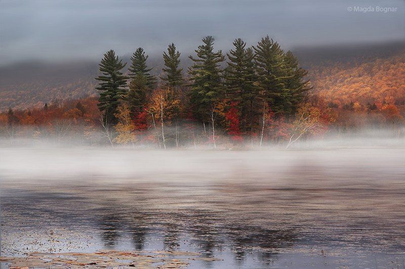 Foggy Morning фото превью