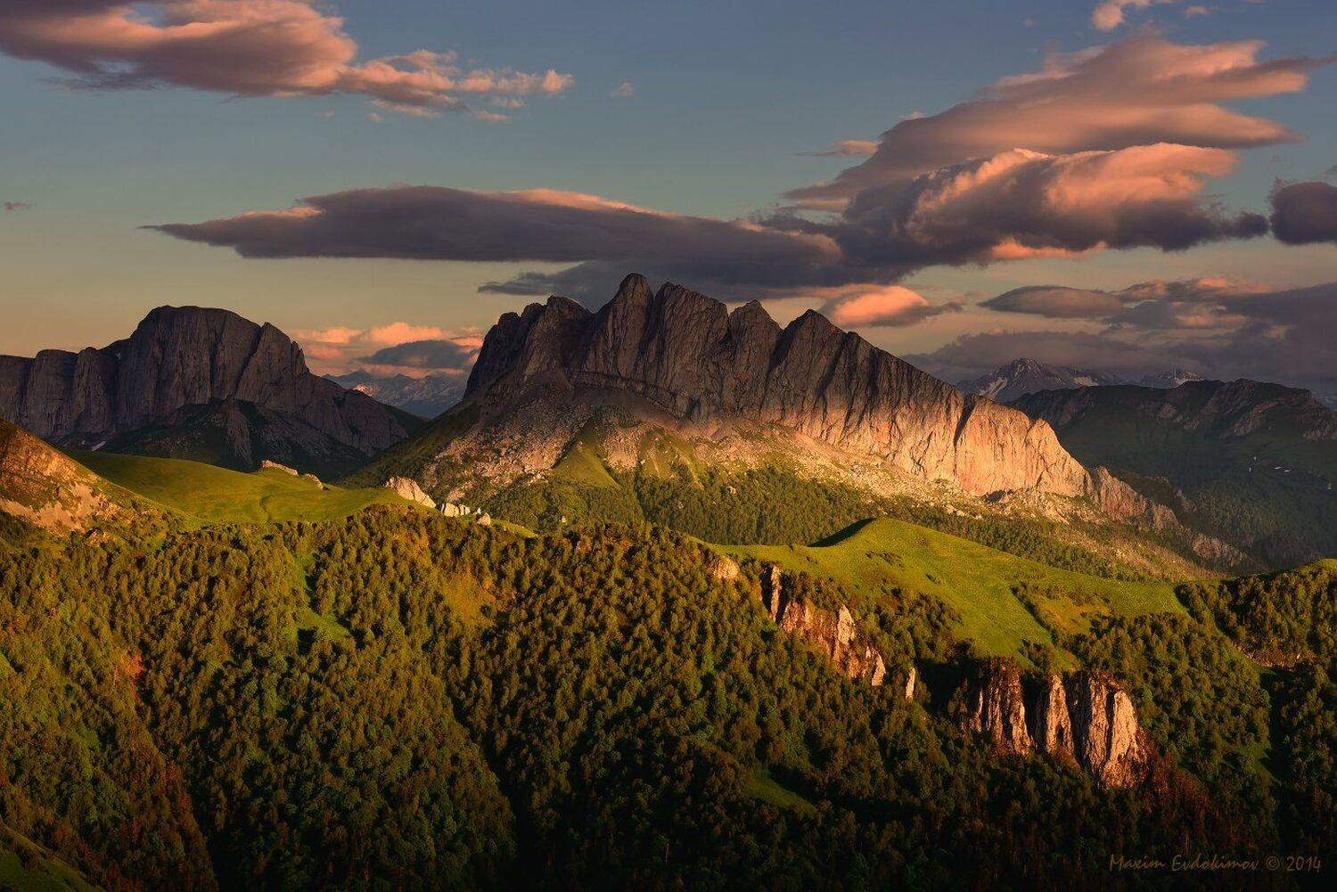 , Максим Евдокимов