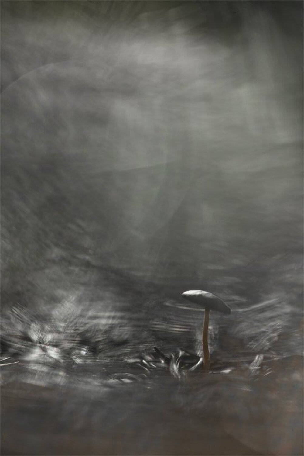 , Геннадий Мещеряков