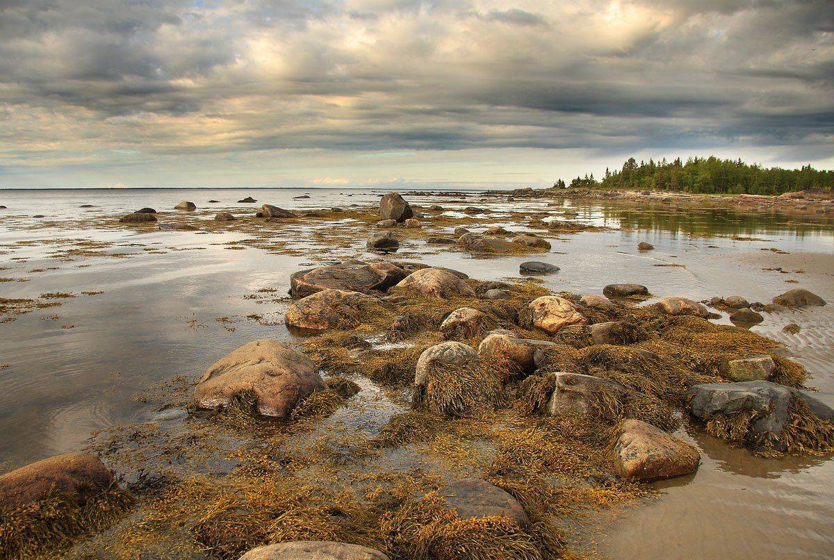 , Александр Коротков