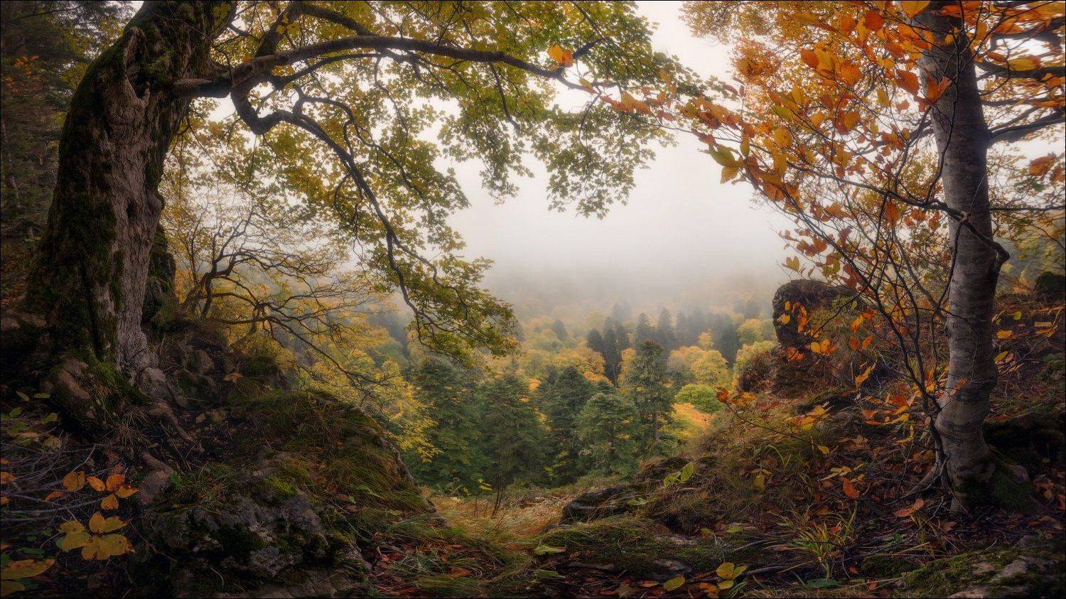 Адыгея, Лаго-наки, Лагонаки, Плато, Влад Соколовский
