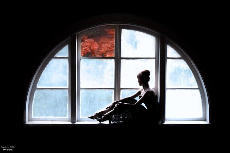 Портфолио. фото превью