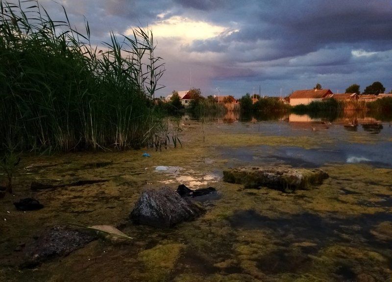 Пруд в г. Ершов Саратовской обл. фото превью