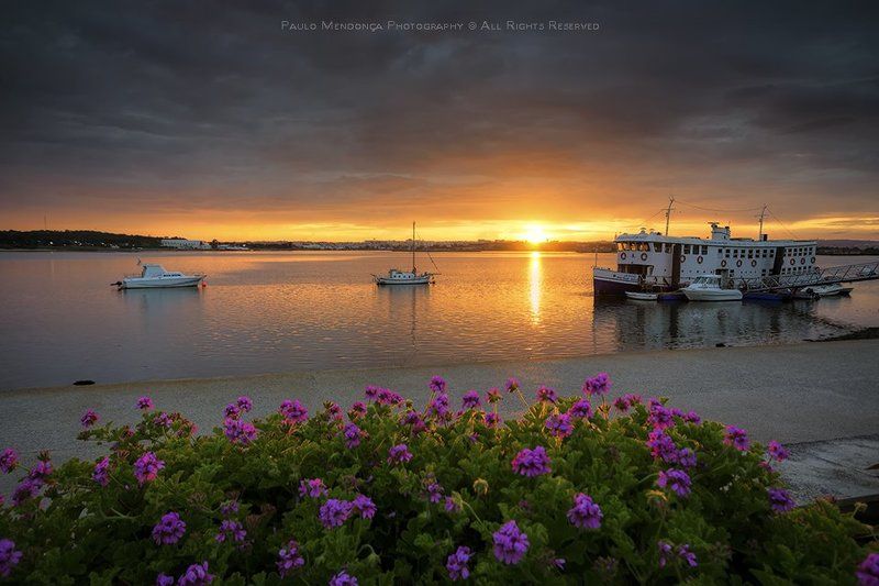 O Cacilheiro do Tejo фото превью