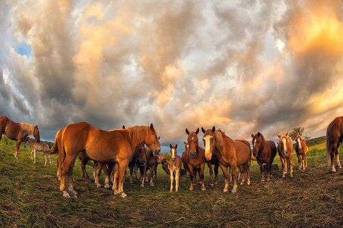яркий вечер