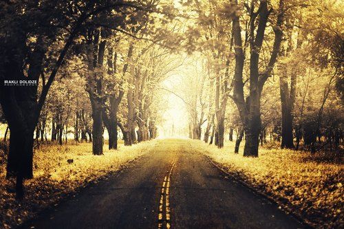 On my way