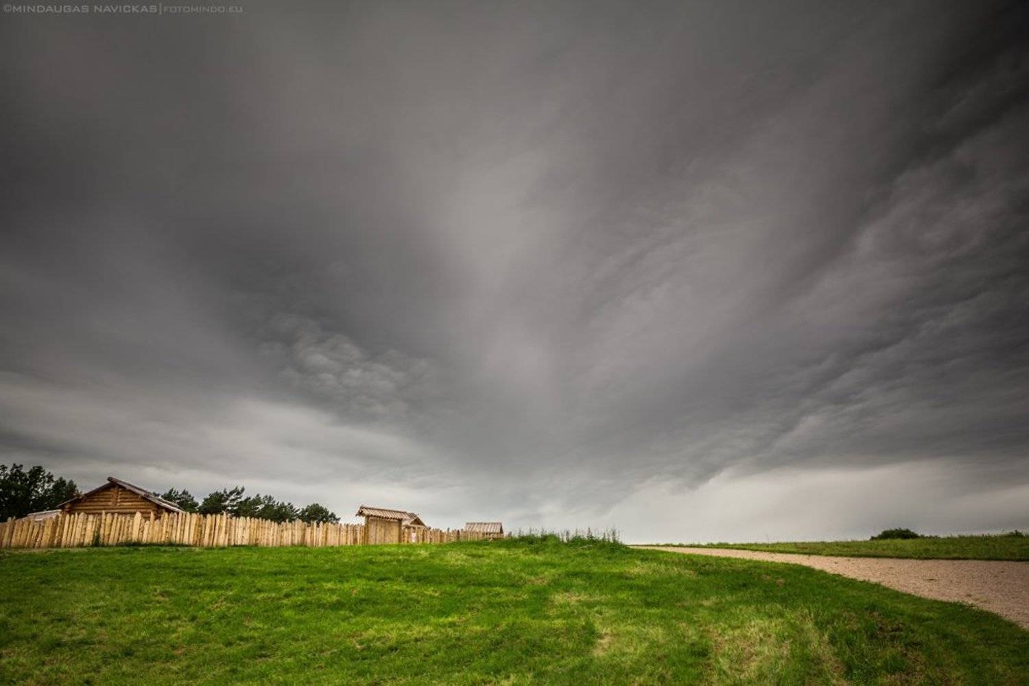 , Mindaugas Navickas