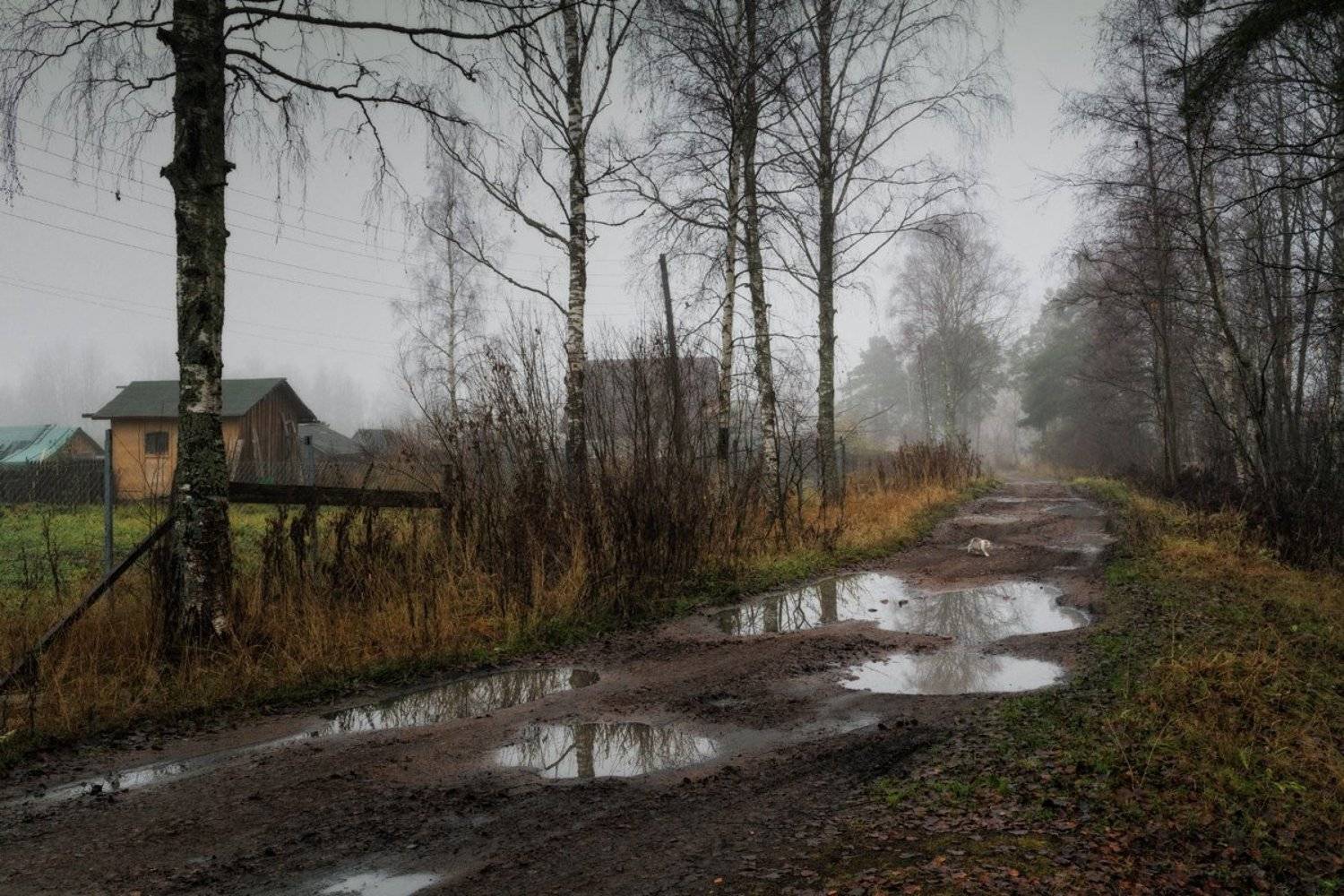 , Евгений Плетнев