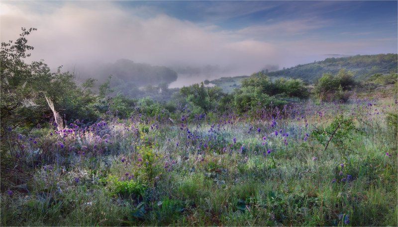 Утро на Южном Буге... фото превью