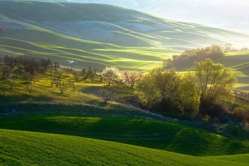 Spring in Tuscany ... фото превью