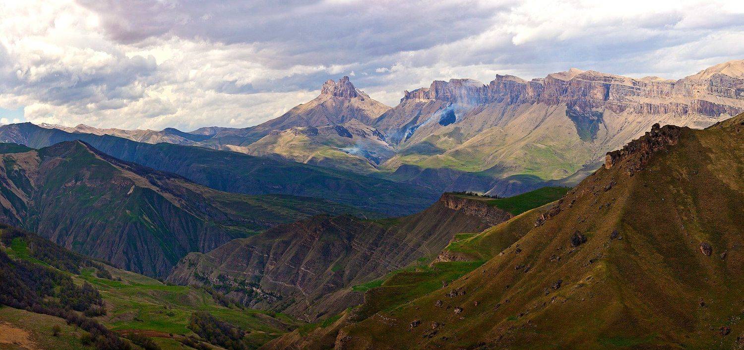 , Заур Вороков