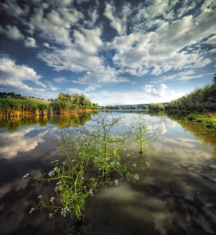 *** фото превью