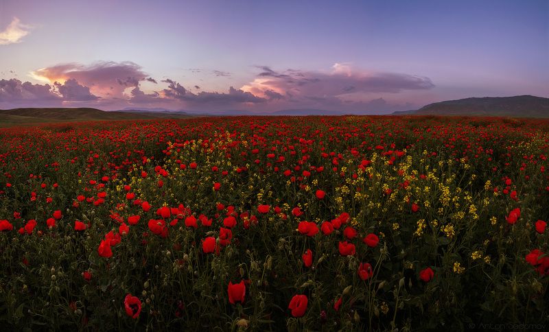 таджикистан, маки, закат Маки послезакатные фото превью