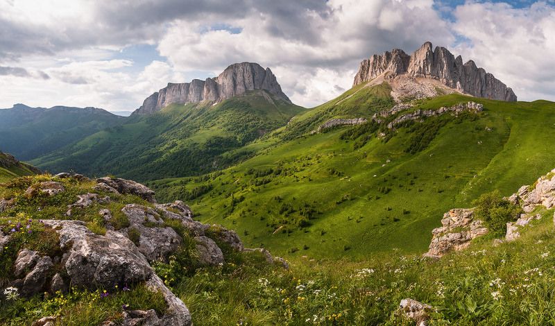 Там где живут медведи фото превью