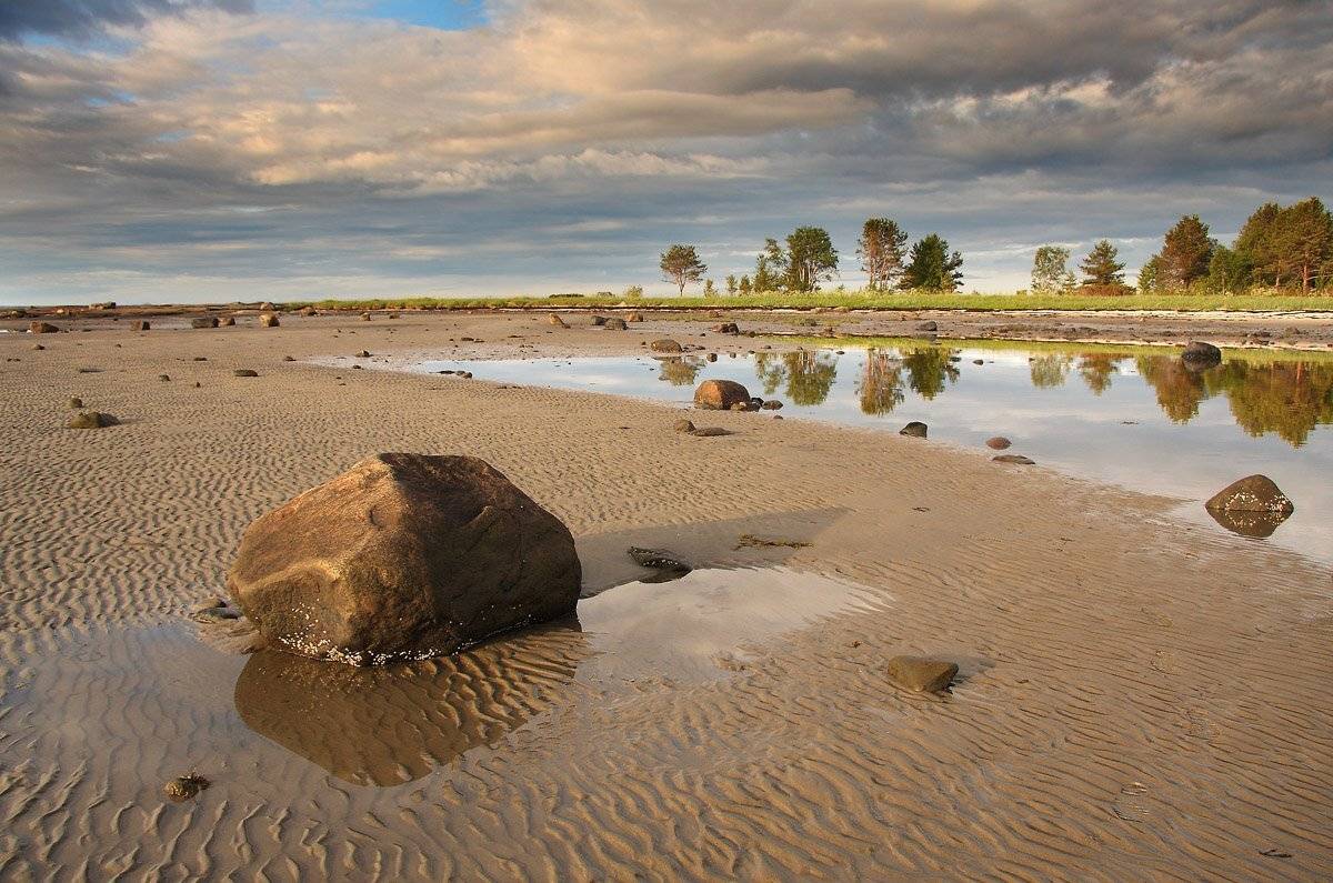 , Александр Коротков