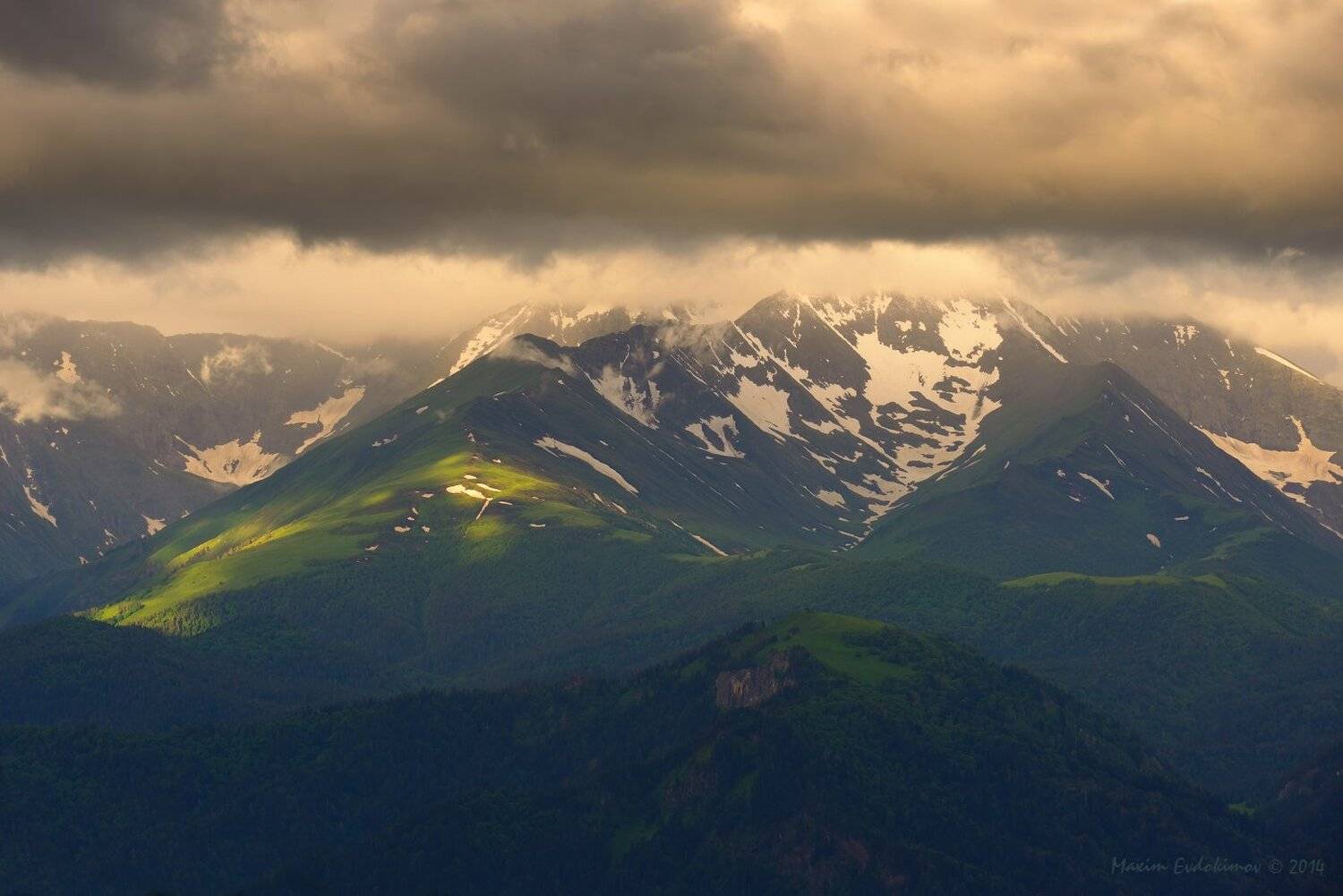 , Максим Евдокимов