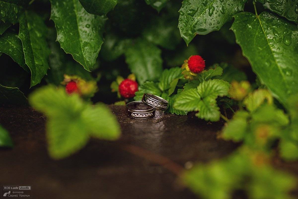 , Сергей Урюпин