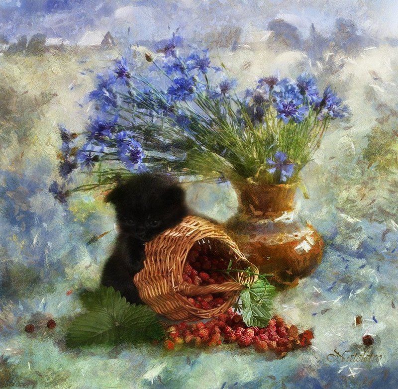 ВасильковоЗемляничное... фото превью