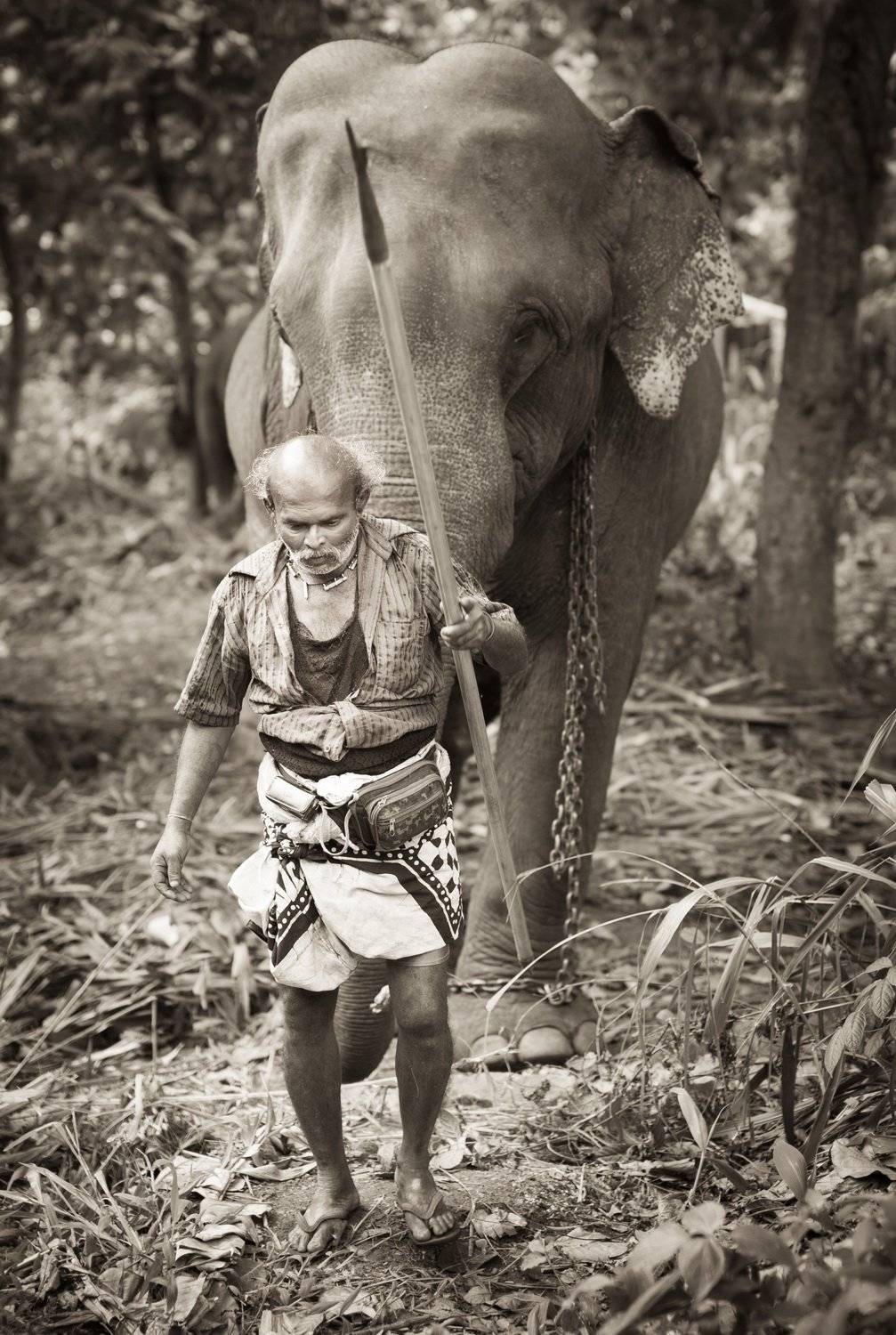 , Алексей Душка