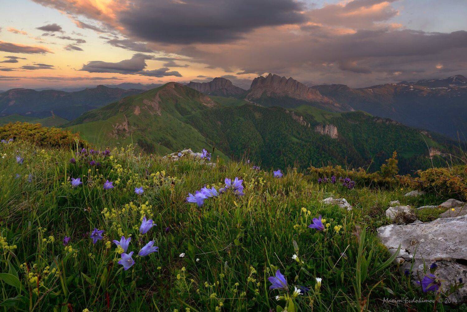 , Максим Евдокимов