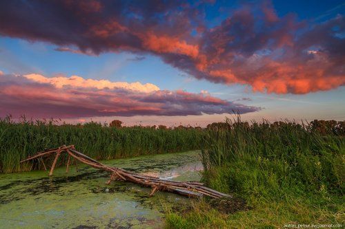 Кусочек летнего вечера