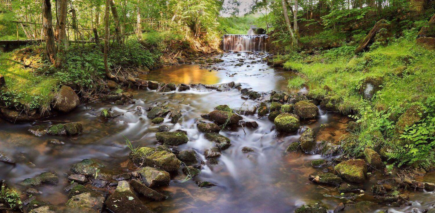 , Вейзе Максим