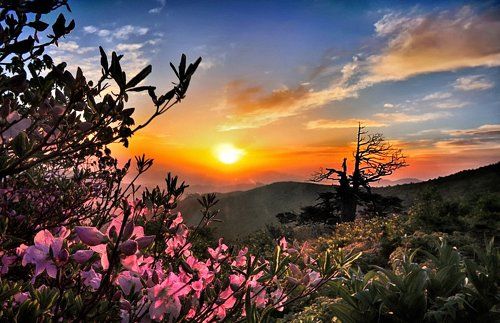 Dawn light