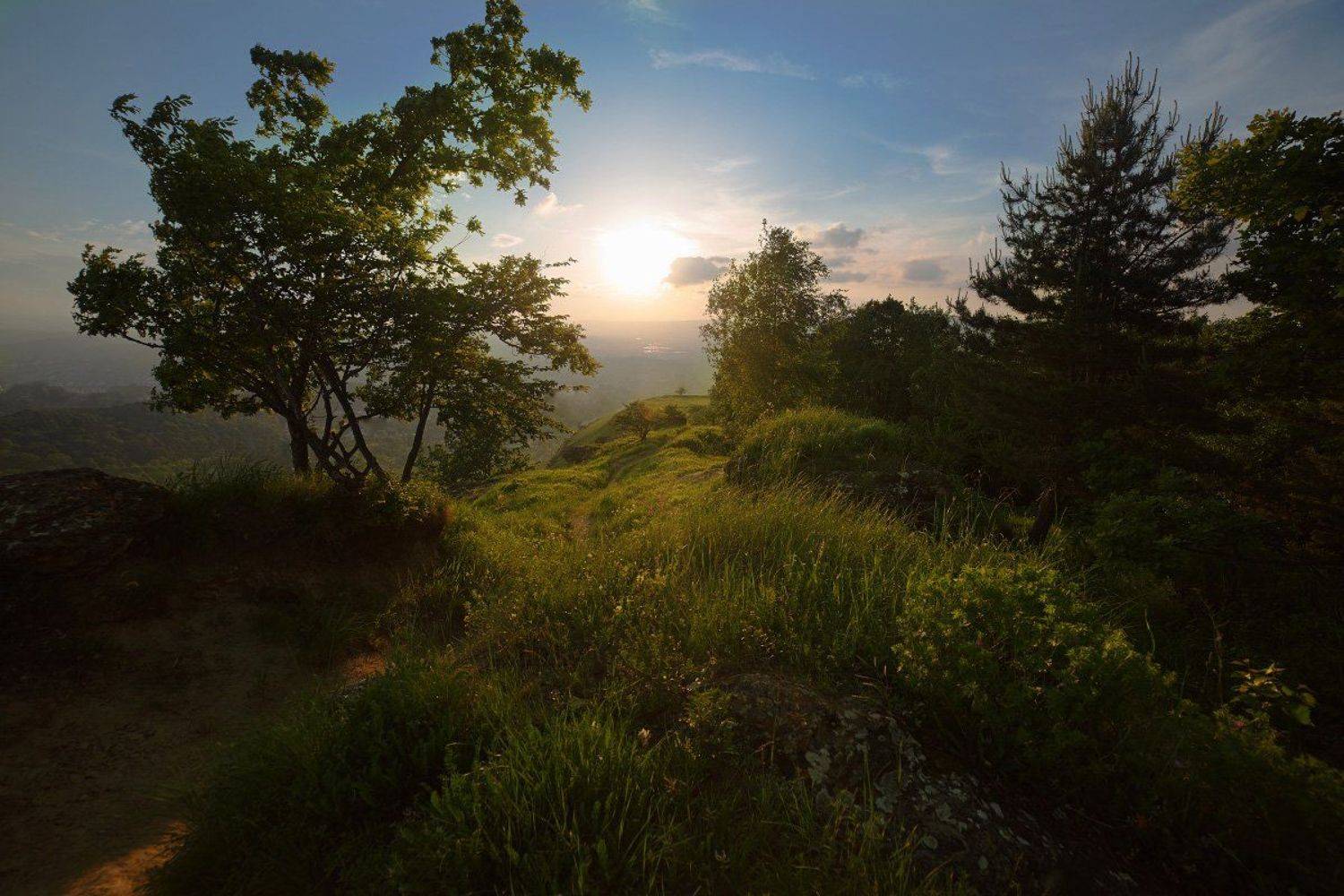 , Гоголев Андрей