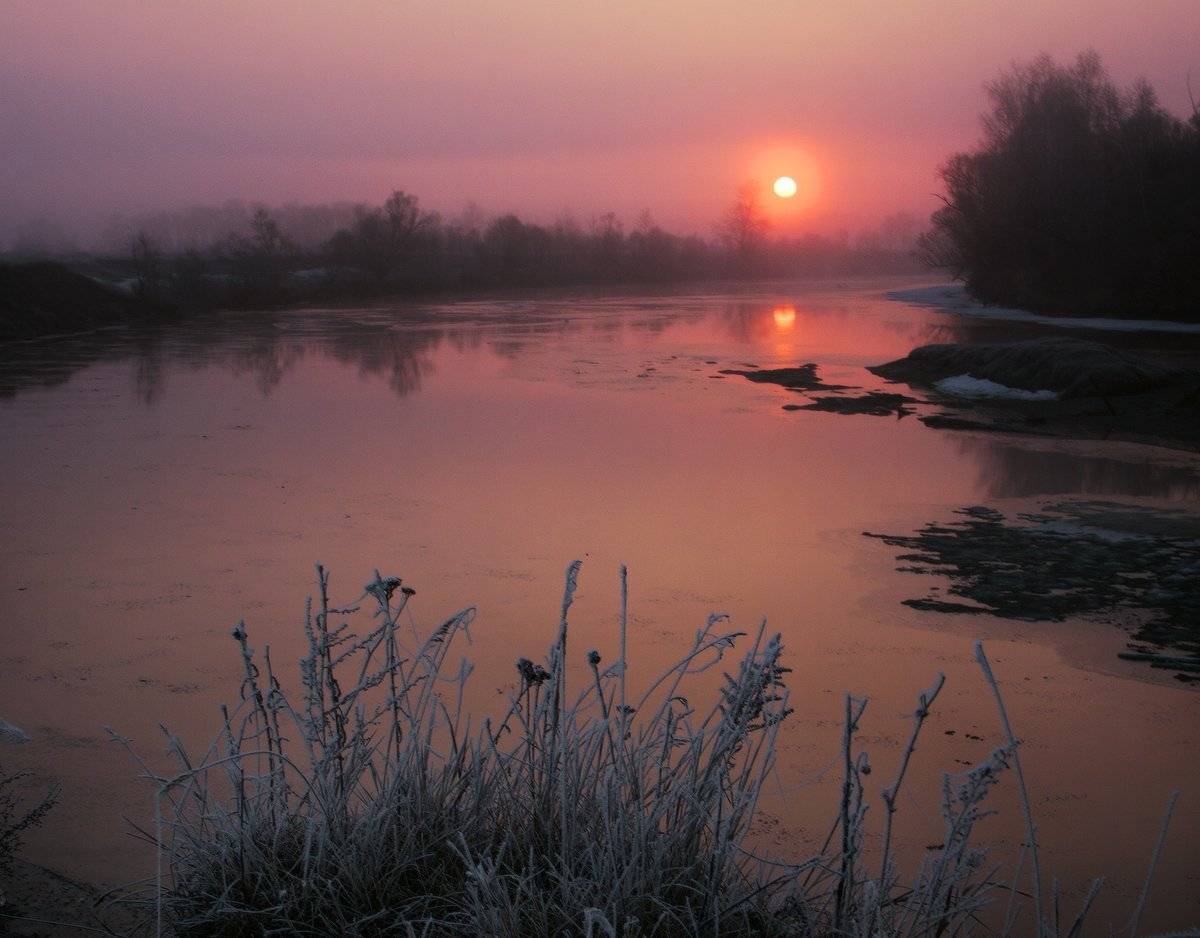 , Николай Морский