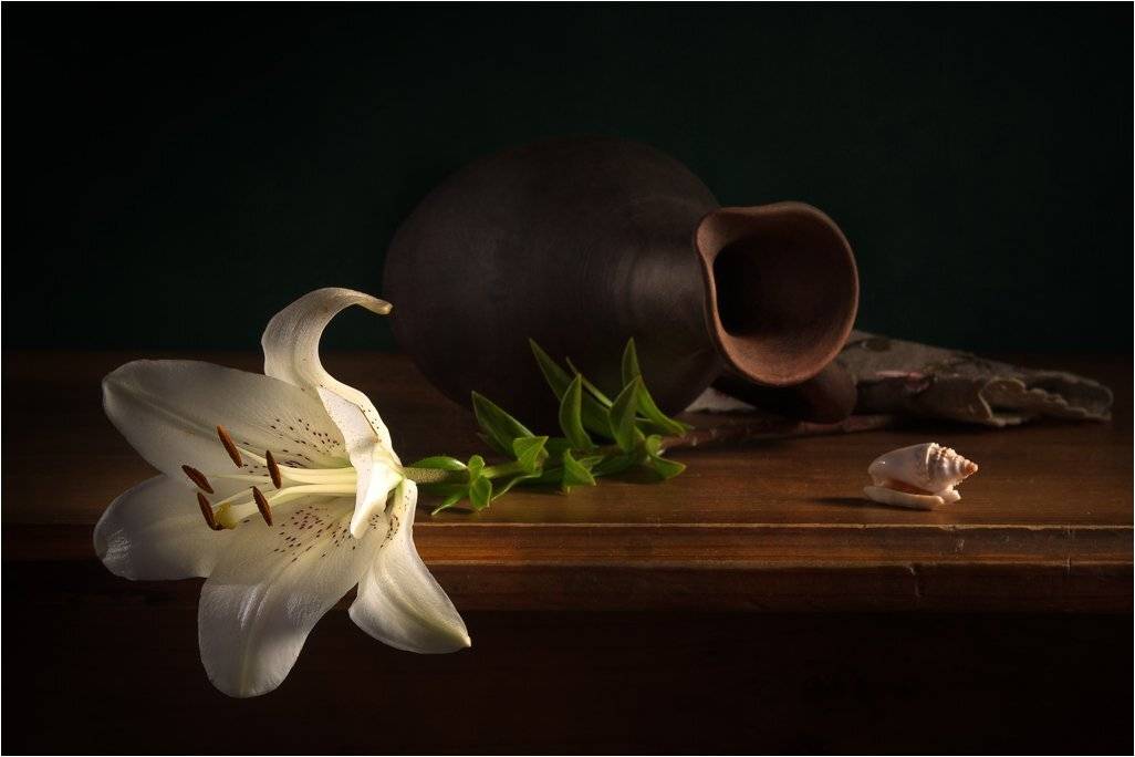 , Лев Сердюков