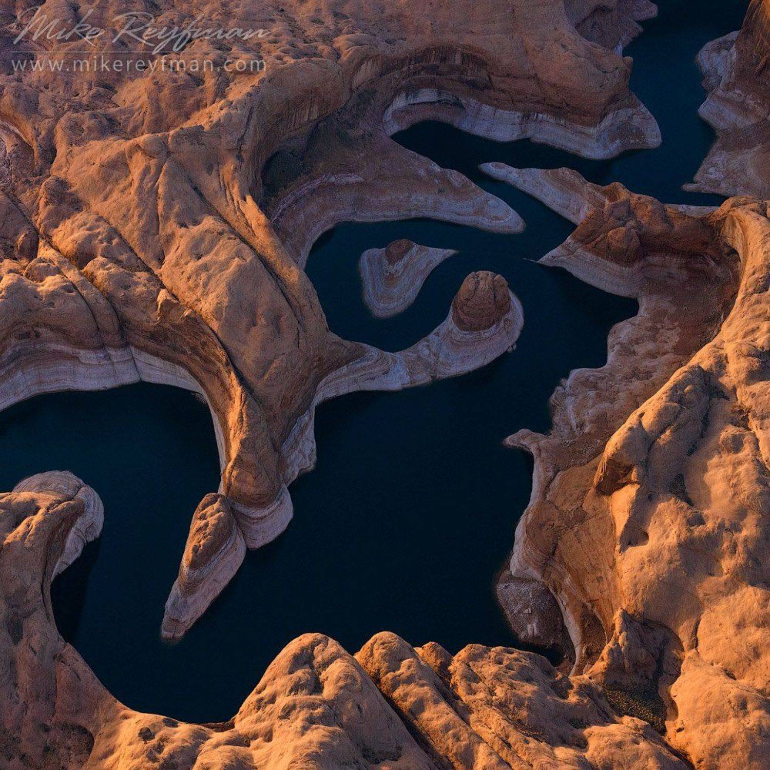 , Майк Рейфман