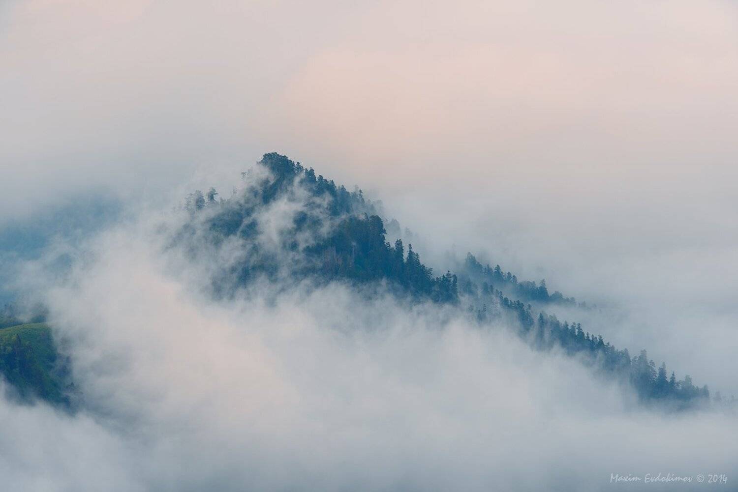 , Максим Евдокимов