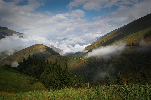 Тянь-Шанская позднеутренняя