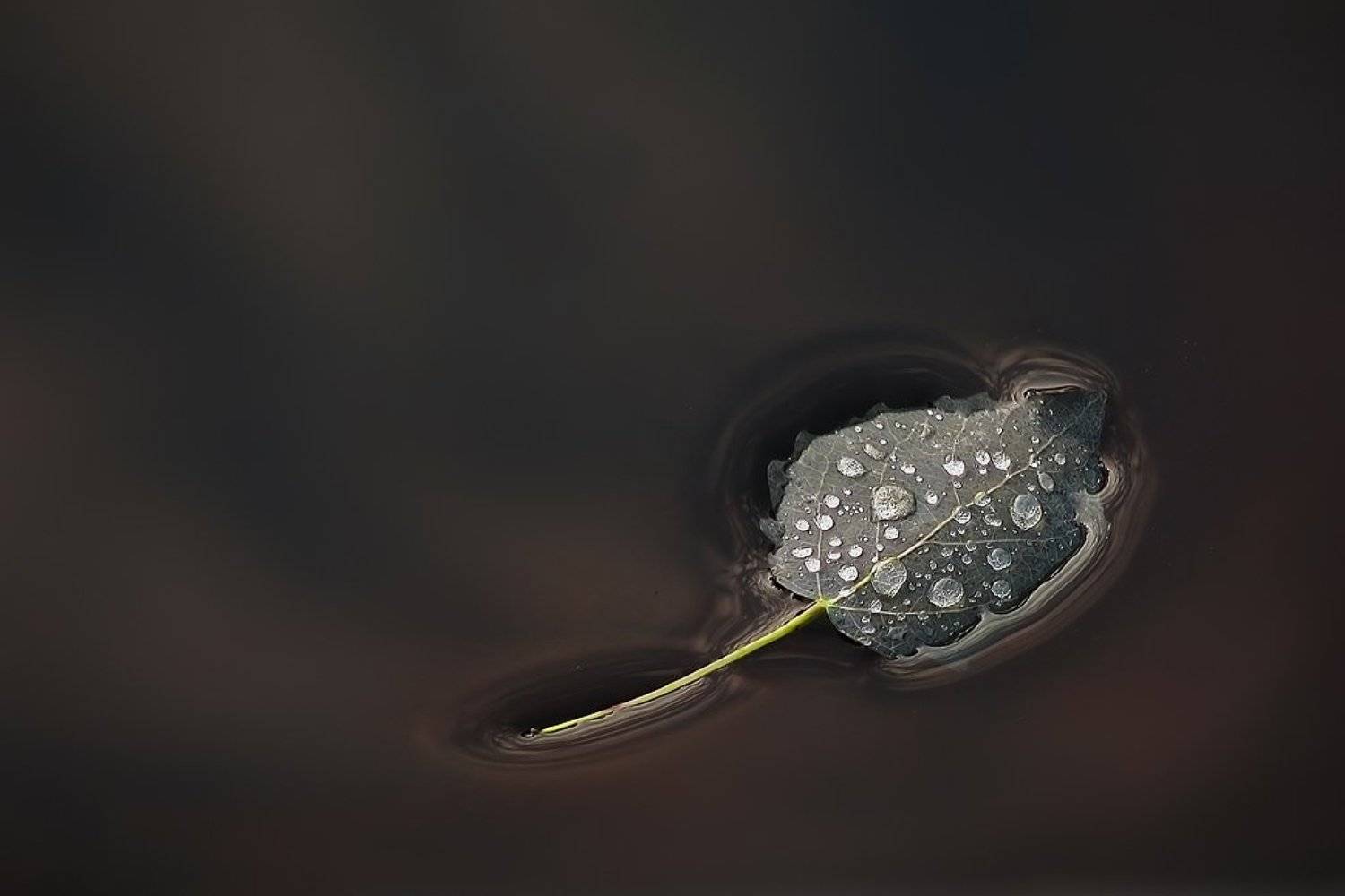 , Аркадий Усиков