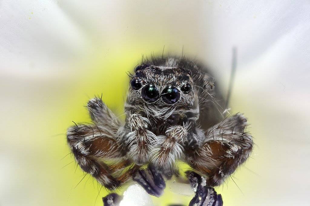 , Сергей Таланов