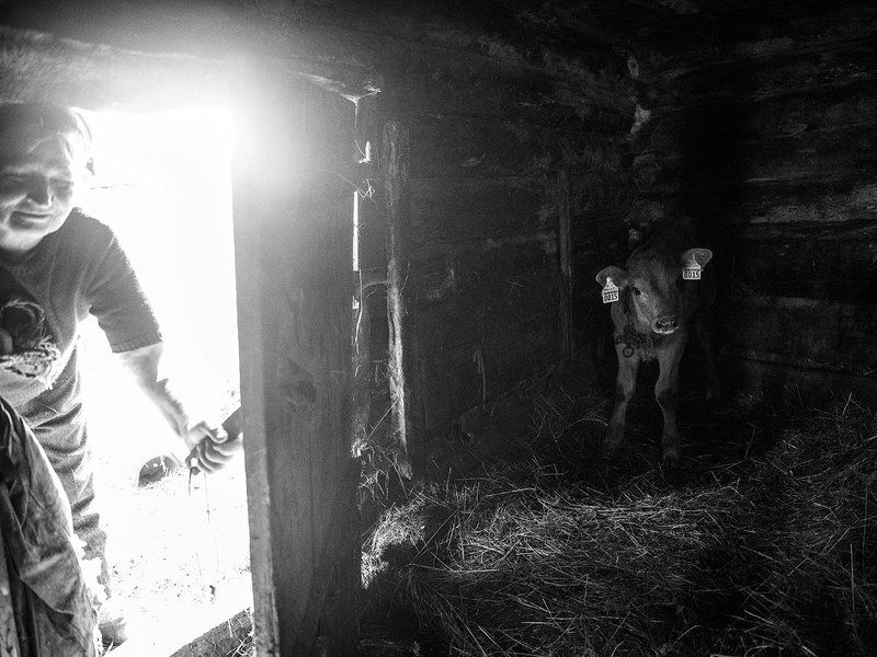 В ожидании фото превью