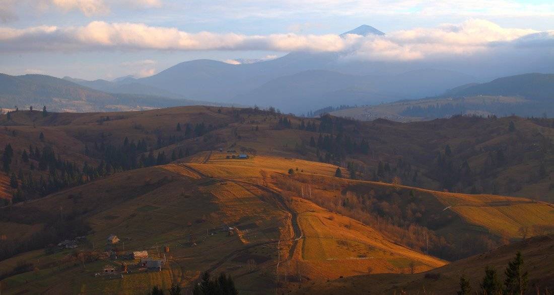 , Ярослав Тюрменко (Jaremi)