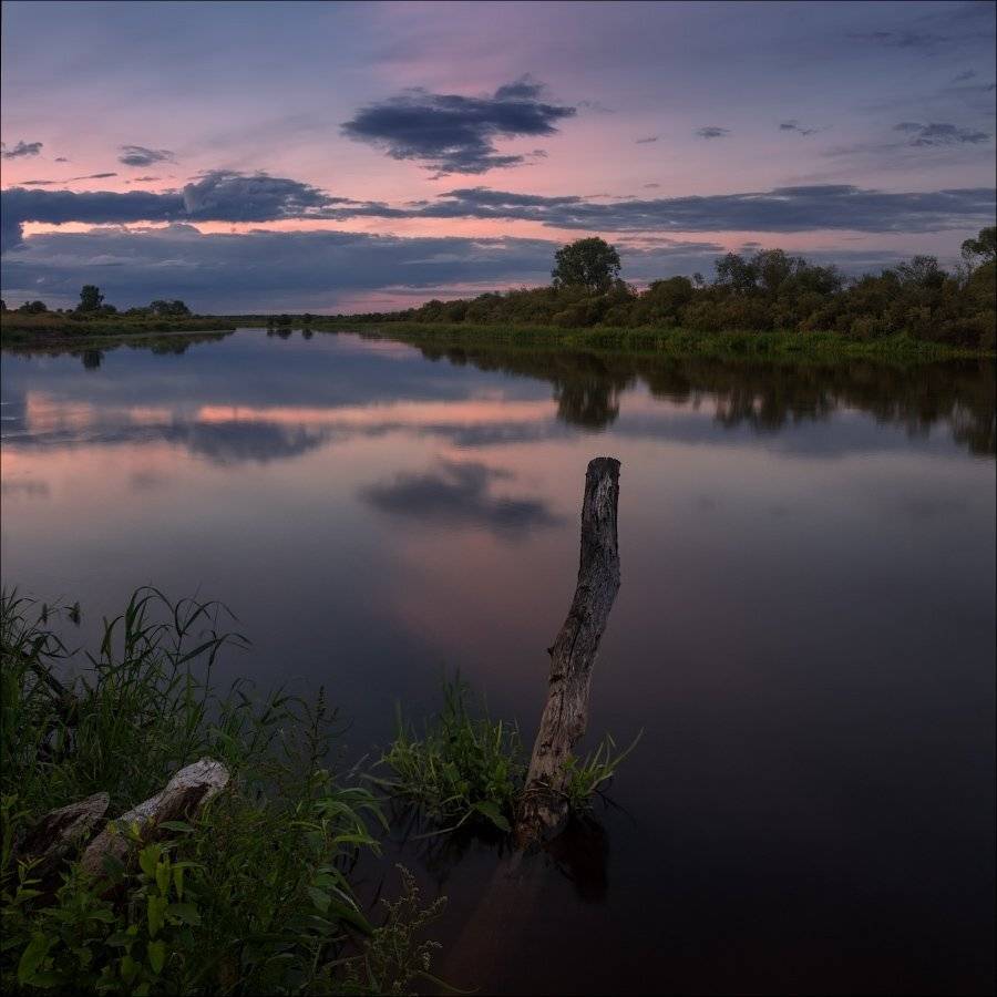 , Михаил Кушнер