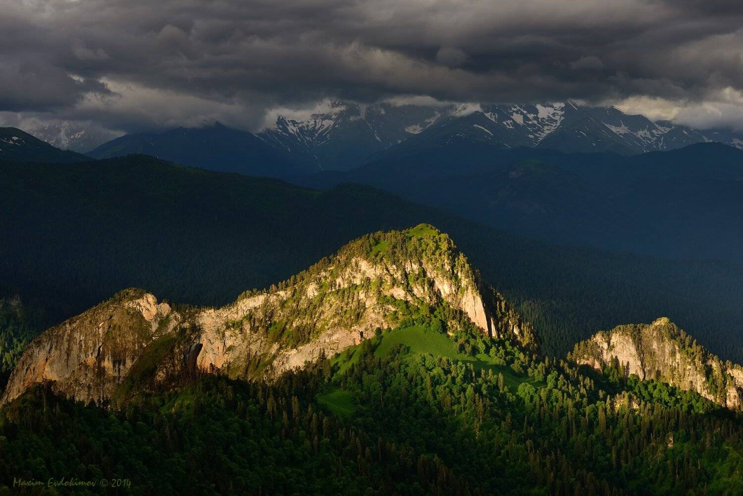 , Максим Евдокимов