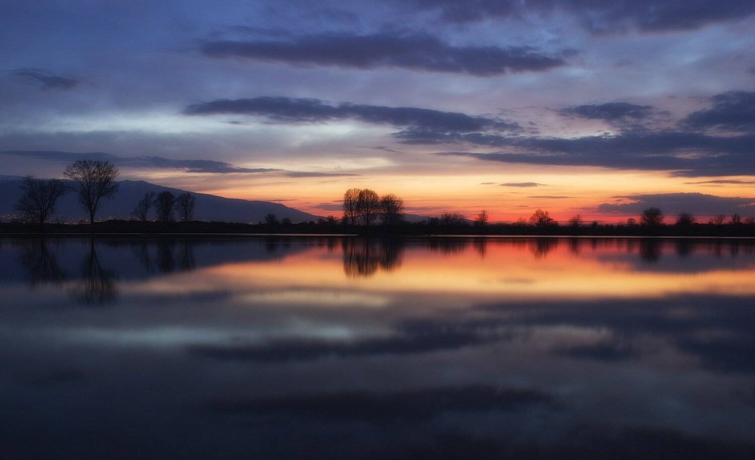 , Ирина Костова