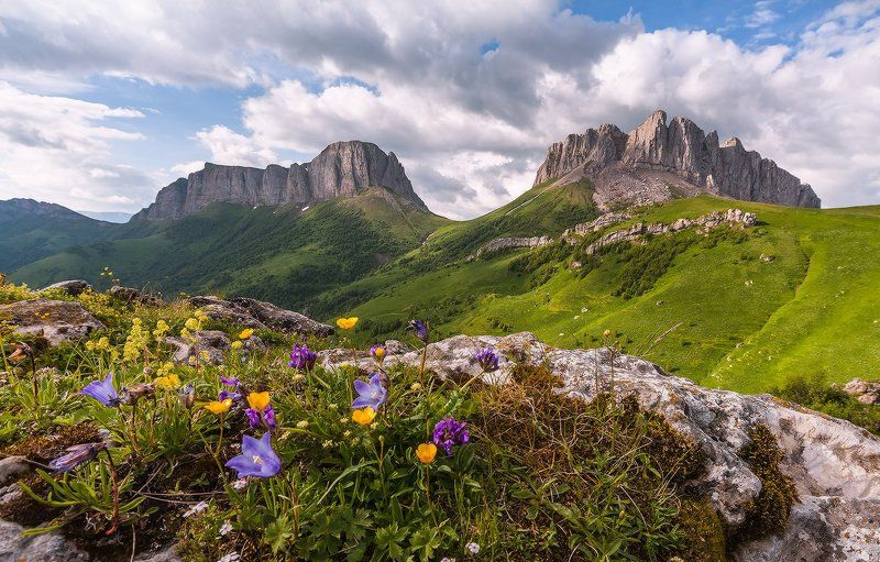 Наши пограничники, храбрые ребята, Трое вызвались идти, а с ними капитан. Разве ж знать они могли, что и азиаты Порешили в эту ночь вдарить по цветам! фото превью