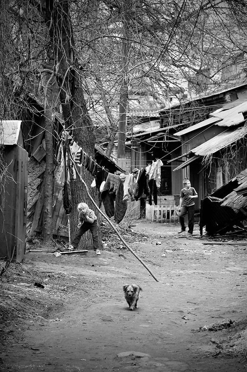 , Александр Зарайский