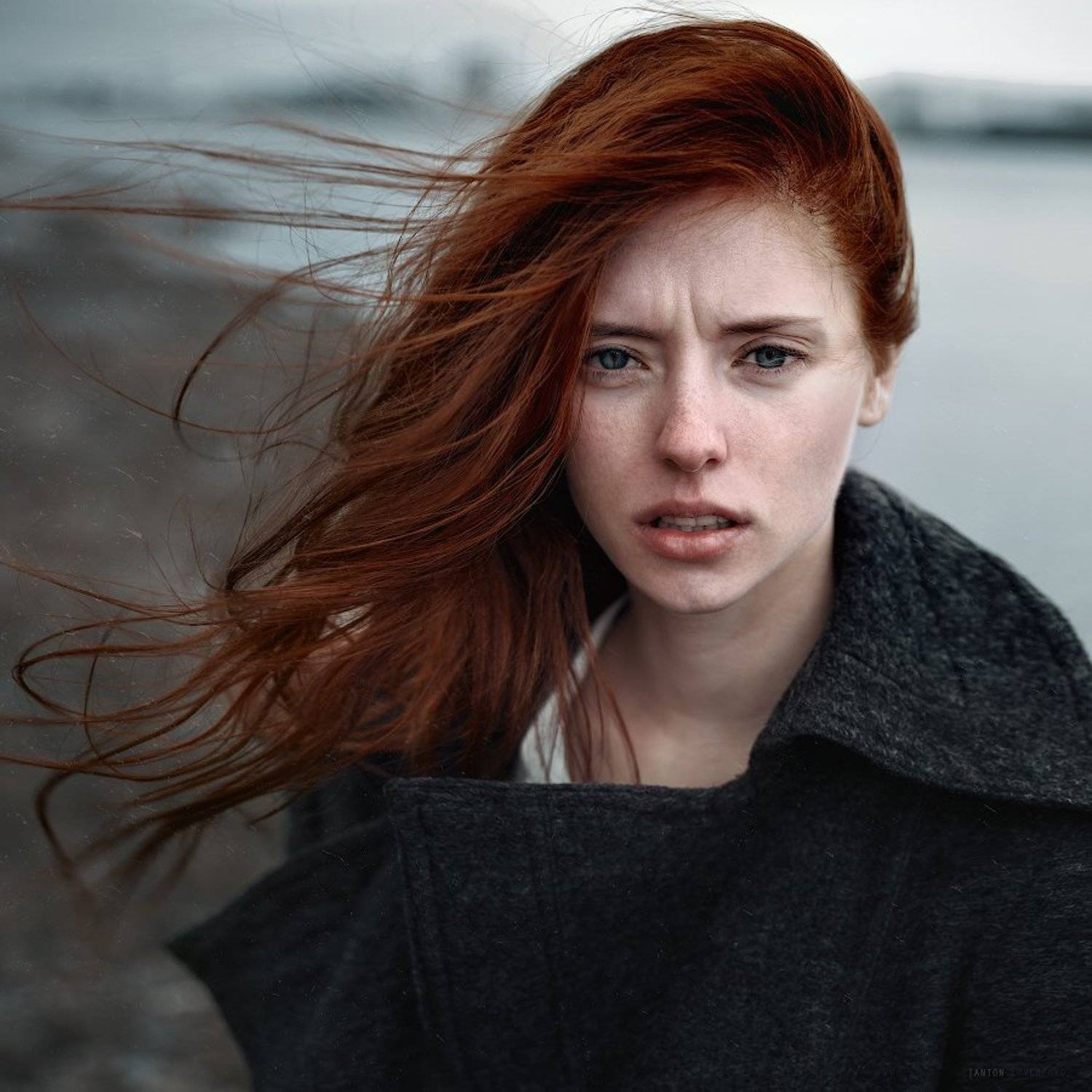 , Anton Montbrillant